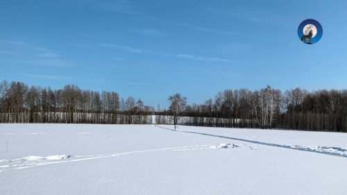 ОХОТА НА ЗАЙЦА ГЛАЗАМИ ЗАГОНЩИКА