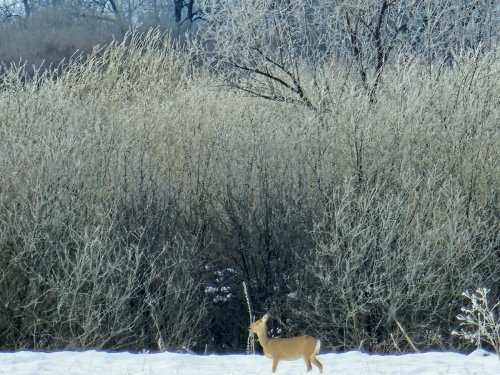 Спокойствие