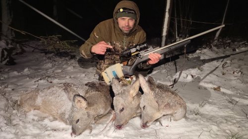 Продуктивная охота на косулю! Добыл 3 косули с Arkon Arma HR50L.  Закрытие сезона загонных охот.