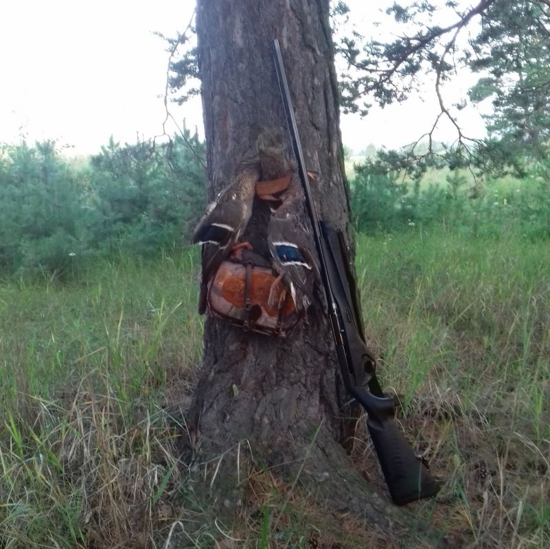 Парочка на открытии