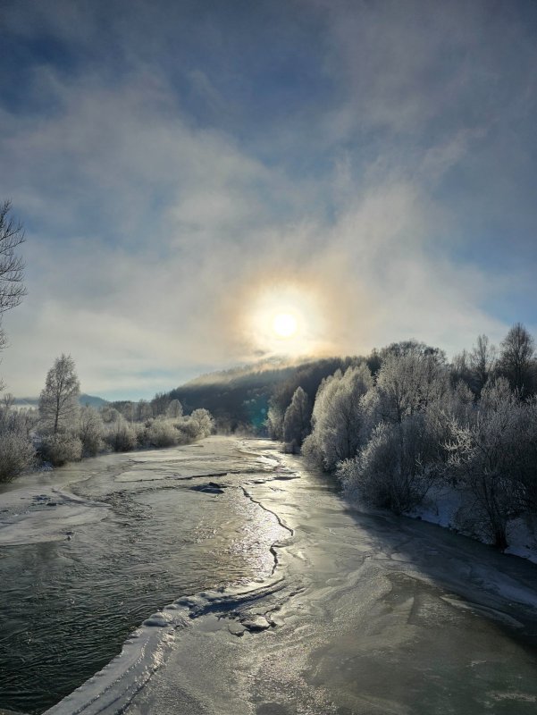 За заветным трофеем