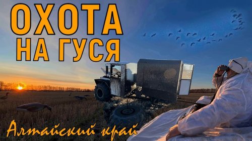 Весенняя охота на гуся / Алтайский край / Сломали каркат в поле