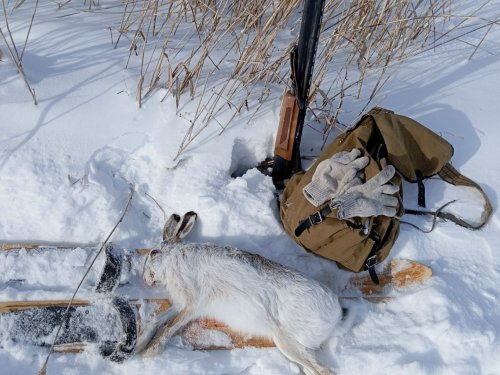 14 февраля 2026г.