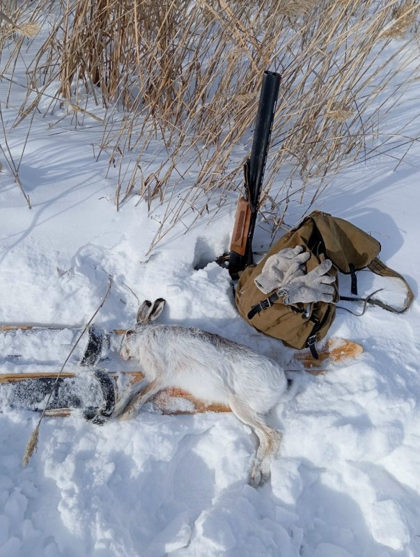 14 февраля 2026г.