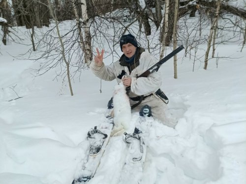 Девятый заяц сезона 2025-2026