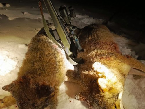 Очередной дуплет