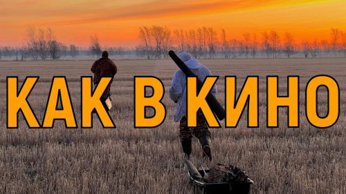 Как в кино / Песня гусятника / Охота на гуся