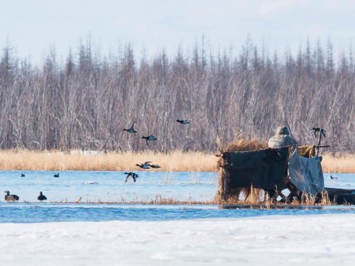 Навстречу незаходящему солнцу
