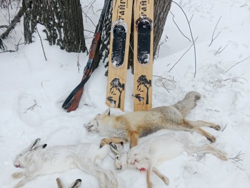 Закрытие сезона 2025 -2026