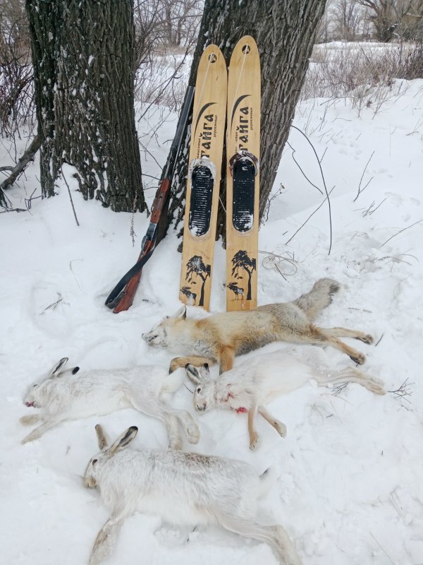 Закрытие сезона 2025 -2026