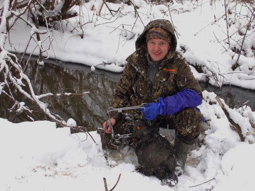 Гастрономический бобр