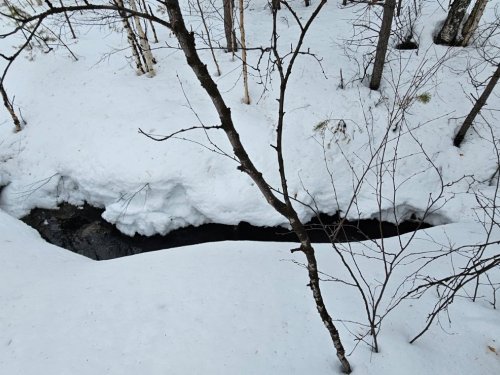 Серия "Противопадковые мероприятия. Месть неугомонных".