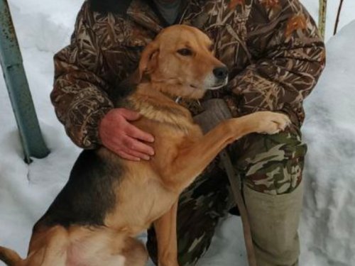 Я с Напевом