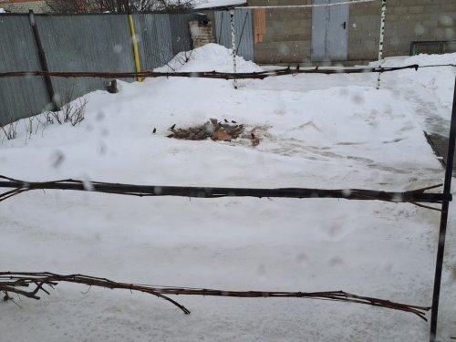 "У Михалыча".