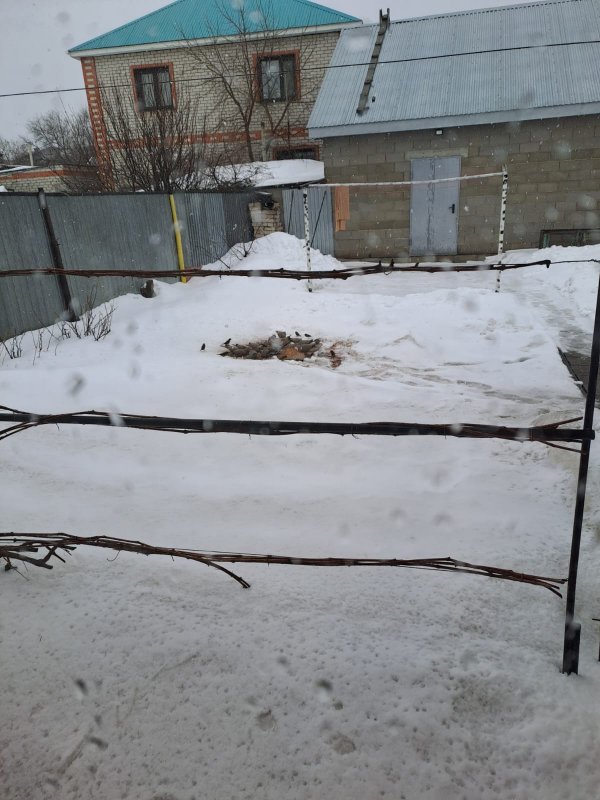 "У Михалыча".