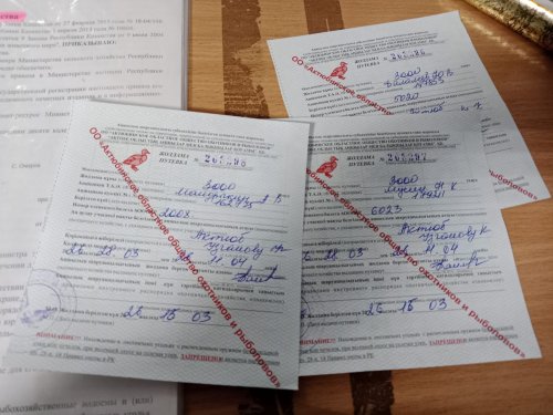 Вот они, родимые!