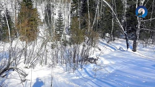 ЗАКРЫТИЕ ЗИМНЕГО СЕЗОНА 2025