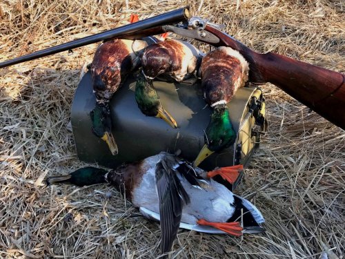 Открытие весенней охоты