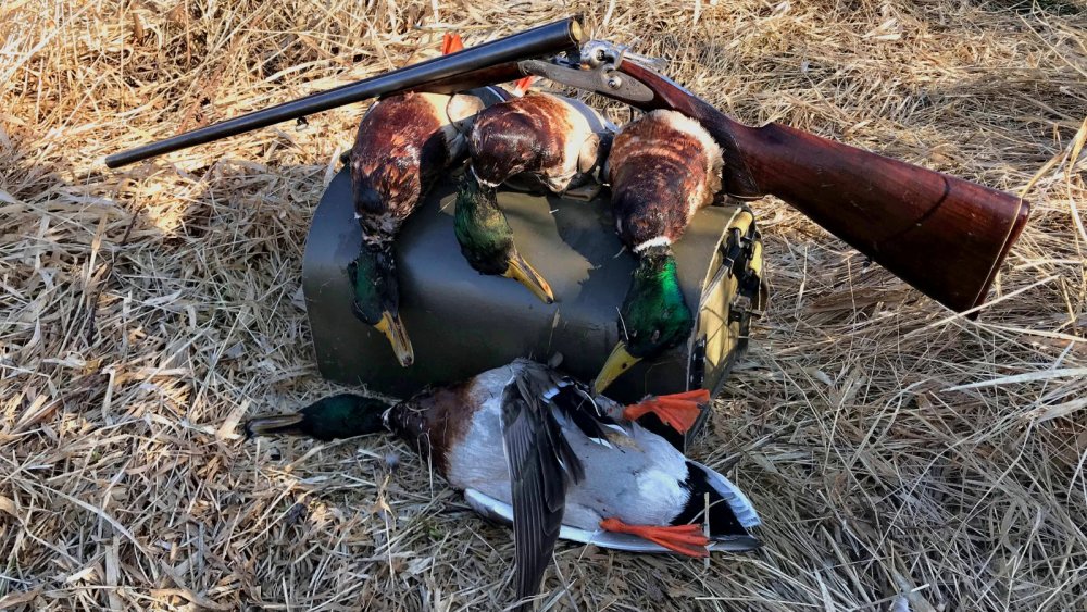 Открытие весенней охоты