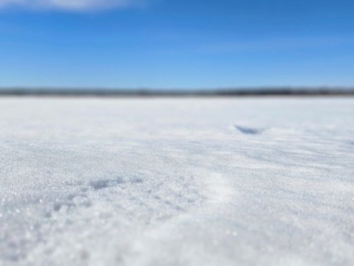 Как я в пальто по озеру пошла