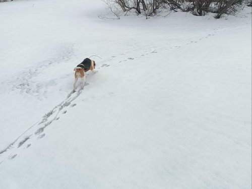 на прогулке
