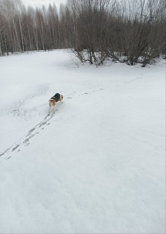 на прогулке