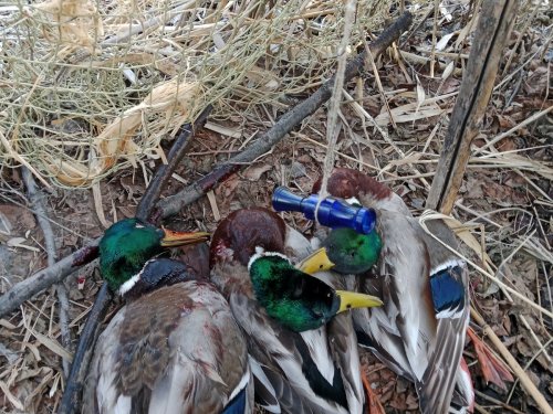 Весна 2026. Открылись!!!