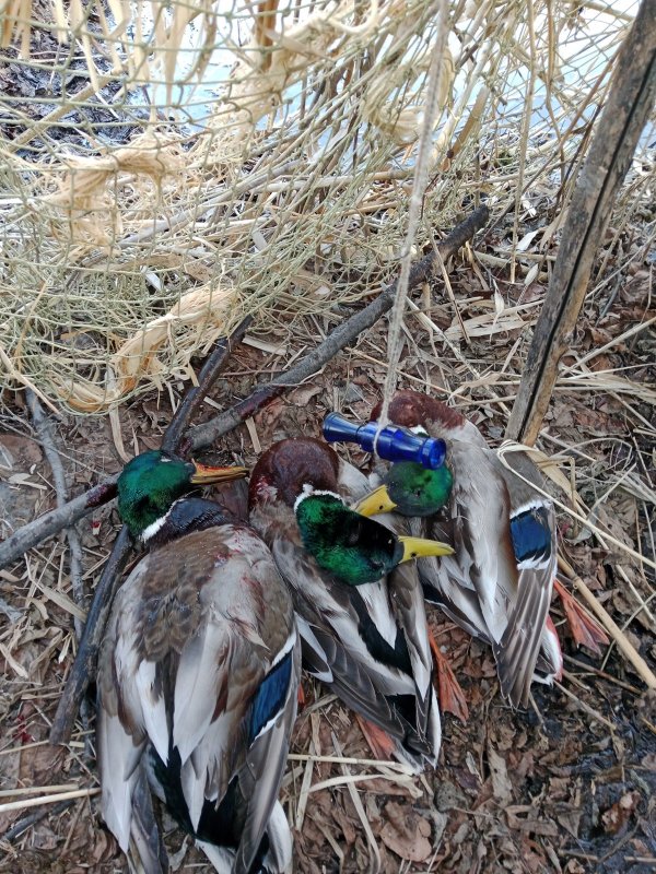 Весна 2026. Открылись!!!