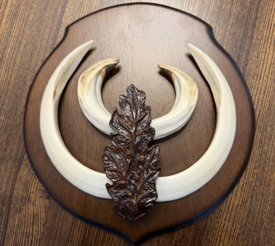 Оформил трофей