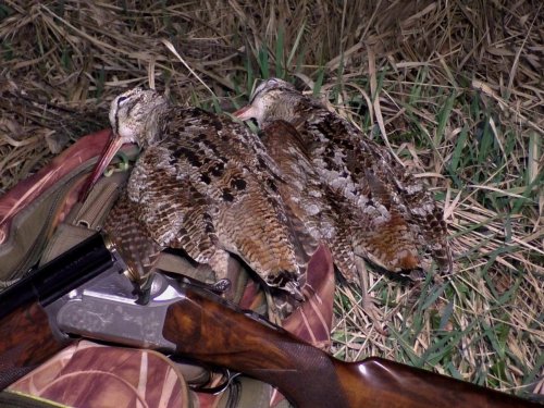 На вечерней тяге