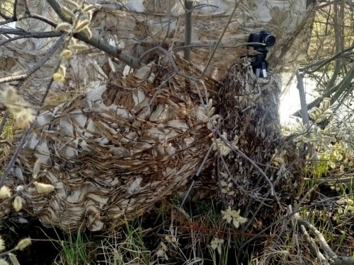 Не только охота, но и фотоохота