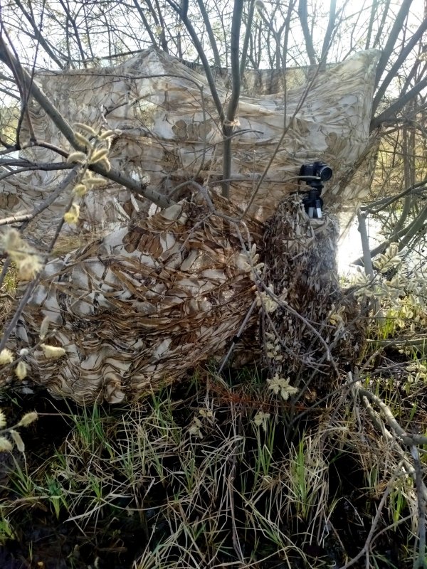 Не только охота, но и фотоохота