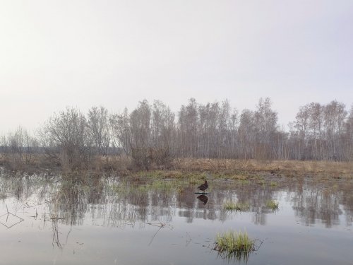 С подсадной