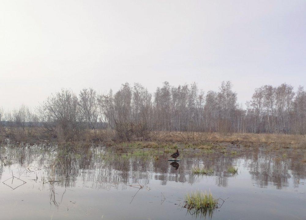 С подсадной