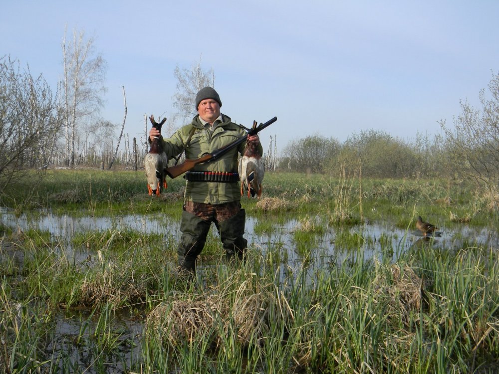 Охота с подсадной