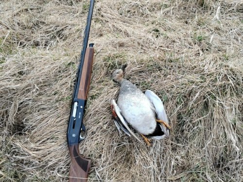 Обкатал АТАшку