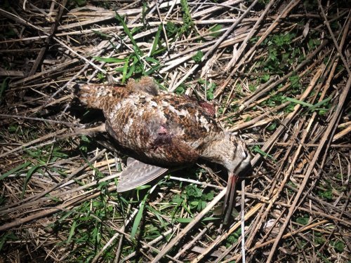 Был на тяге