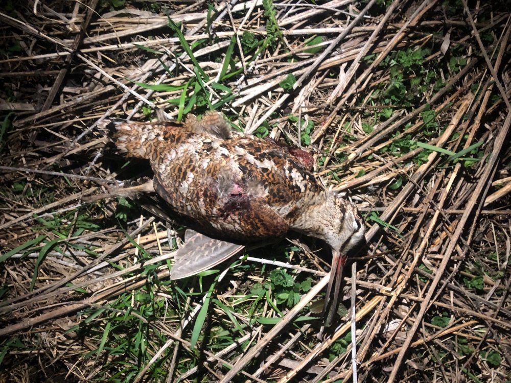 Был на тяге