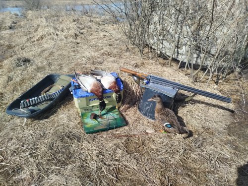 Сегодня утром