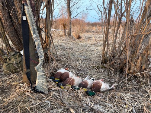 Сезон 2026 открыт!