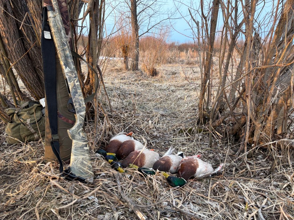 Сезон 2026 открыт!