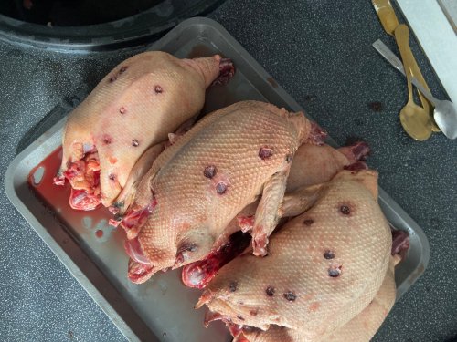 Добрый бой!