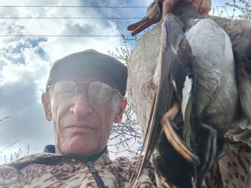 Серяки, красноголовник.