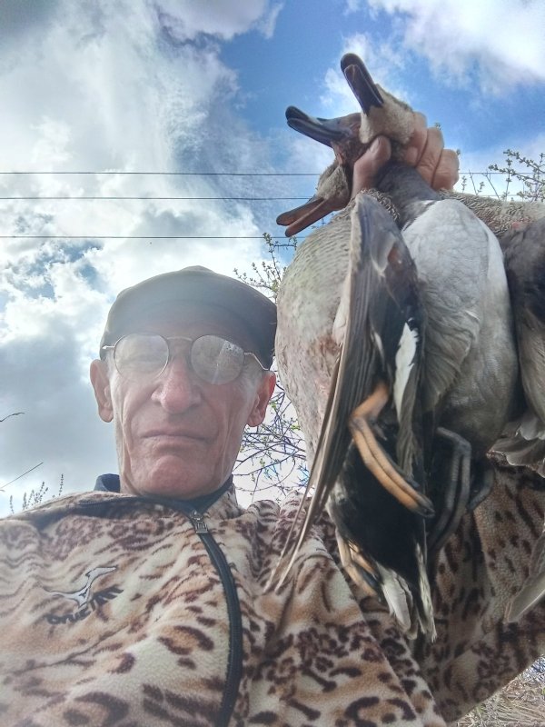 Серяки, красноголовик.