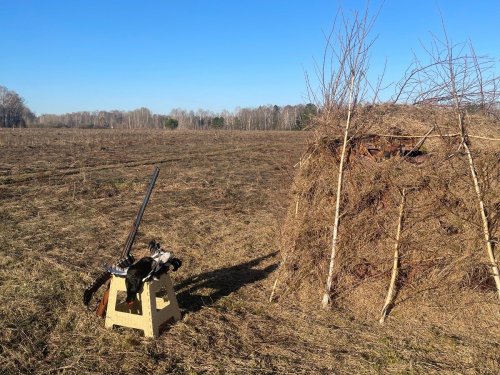 Ток, весна 2026