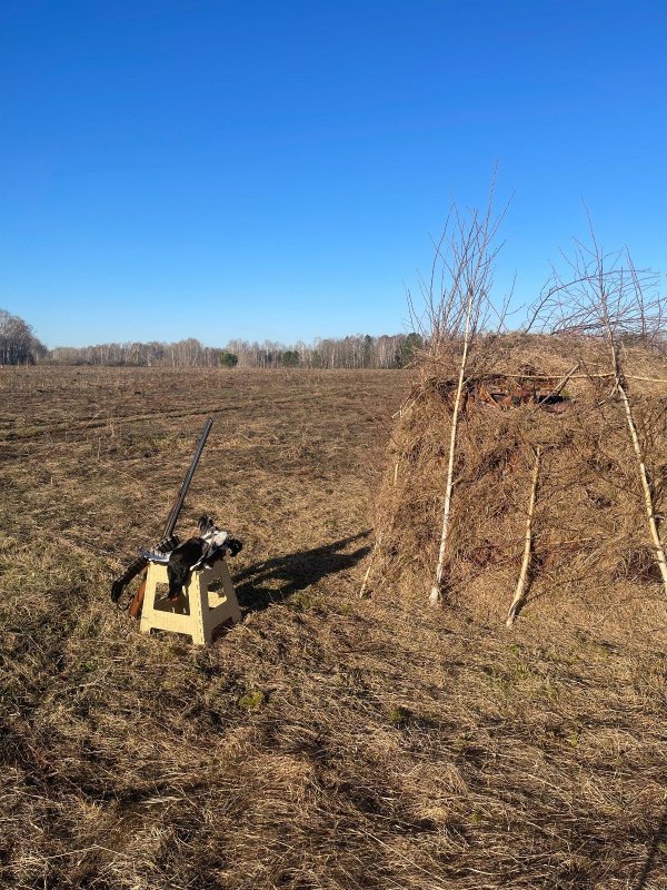 Ток, весна 2026