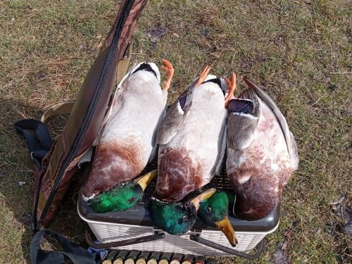 Открытие. Весна 2026г.