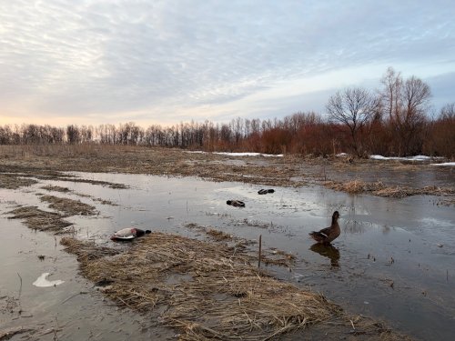 Катерина за работой
