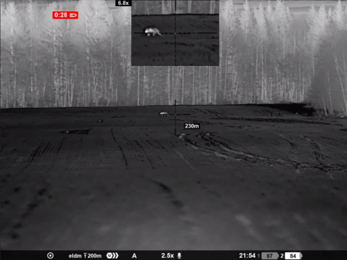 Поймал в прицел медвежонка во время охоты на волков!