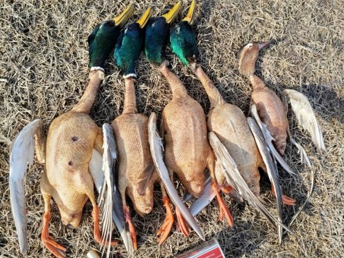 Они же, ну хороши крючки!